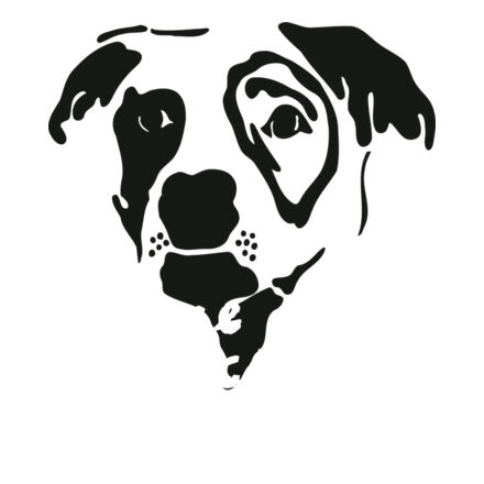 Little Rascals Warmups Thumbnail